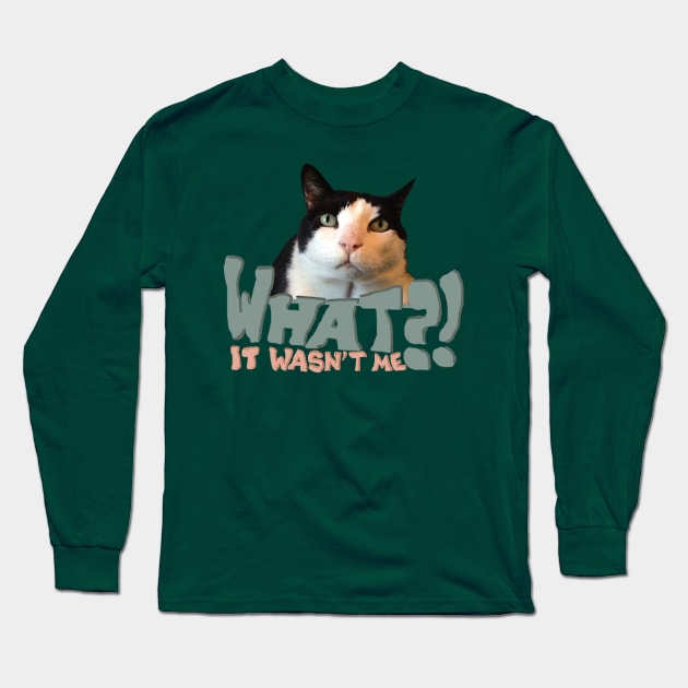 Innocent Cat Long Sleeve T-Shirt by TenomonMalke